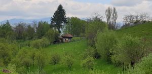 IMG-20210531-WA0006