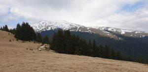 IMG-20210531-WA0007