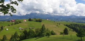 IMG-20210531-WA0008