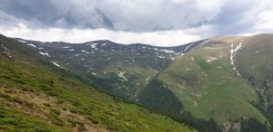 IMG-20210531-WA0011