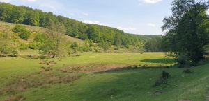 IMG-20210531-WA0014