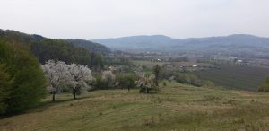 IMG-20210531-WA0020