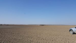 IMG-20210531-WA0022