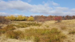 IMG-20210531-WA0026