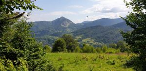 IMG-20210531-WA0030