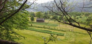 IMG-20210531-WA0034