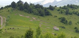 IMG-20210531-WA0035